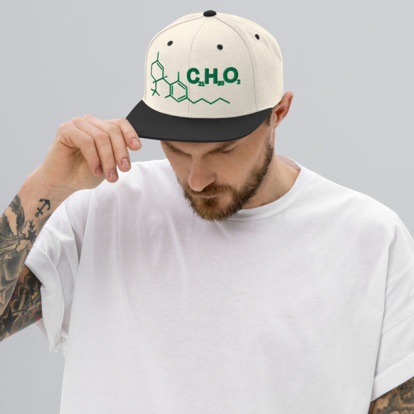 THC Compound Structure - Flat Bill Snapback Hat - Image 8
