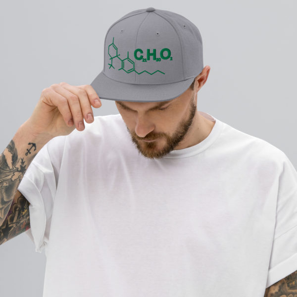 THC Compound Structure - Flat Bill Snapback Hat - Image 6