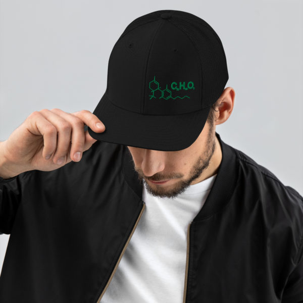 THC Compound Structure - Richardson 112 Trucker Hat - Image 4