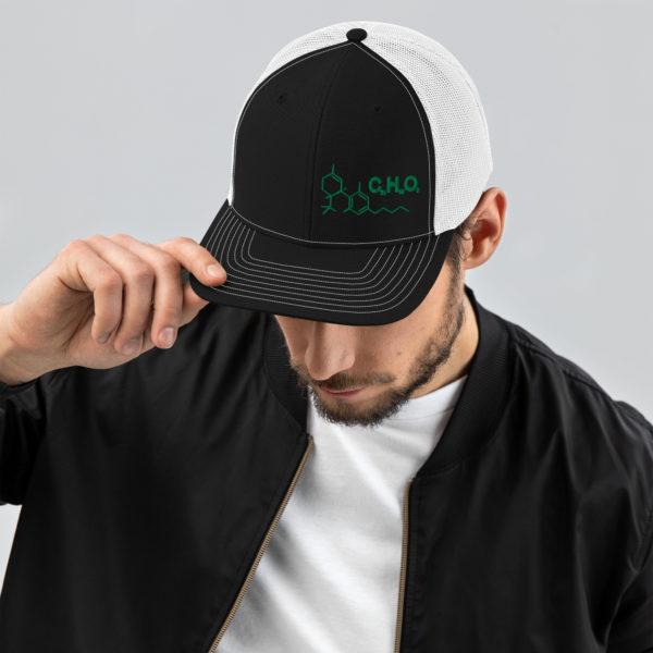 THC Compound Structure - Richardson 112 Trucker Hat - Image 6