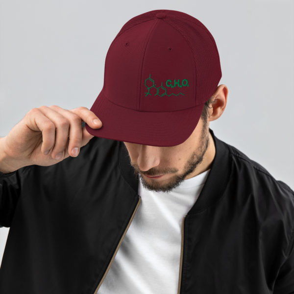 THC Compound Structure - Richardson 112 Trucker Hat - Image 8