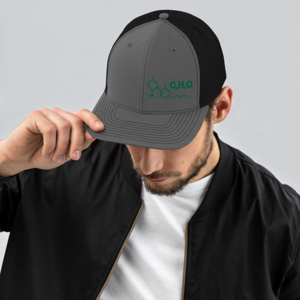 THC Compound Structure - Richardson 112 Trucker Hat - Image 10