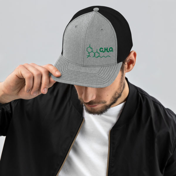 THC Compound Structure - Richardson 112 Trucker Hat - Image 16