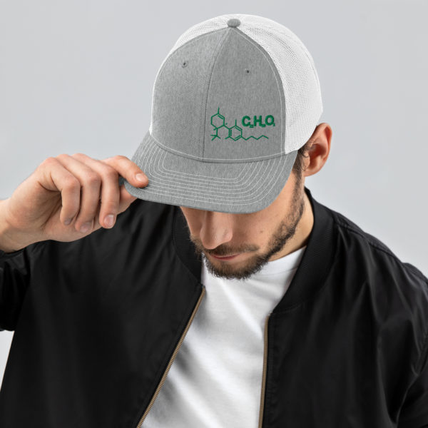 THC Compound Structure - Richardson 112 Trucker Hat - Image 14
