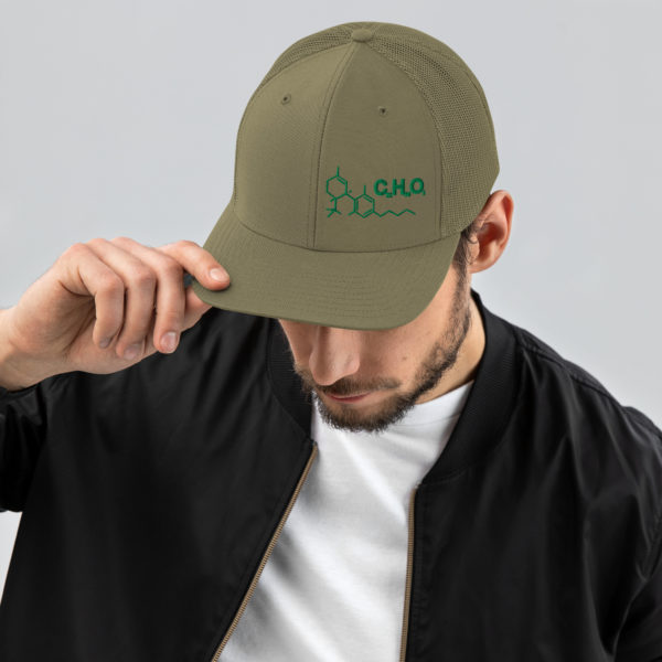 THC Compound Structure - Richardson 112 Trucker Hat - Image 12